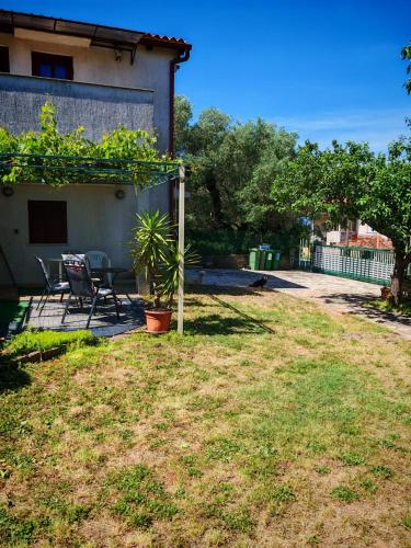Olive and Herb Retreat