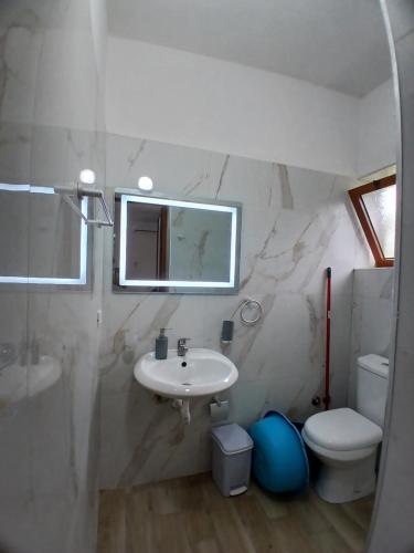 Ванна кімната в Vila Damir