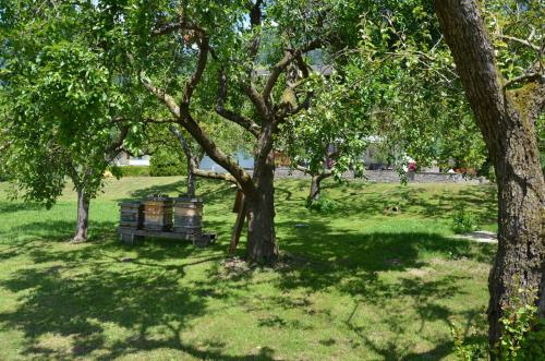 a park with a bench under some trees at Landhaus Königsreiner in Kolbnitz