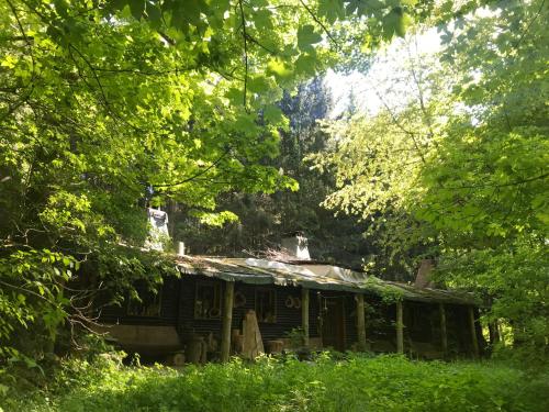 une vieille maison au milieu d'une forêt dans l'établissement Das wilde Auwaldhaus, à Bertsdorf