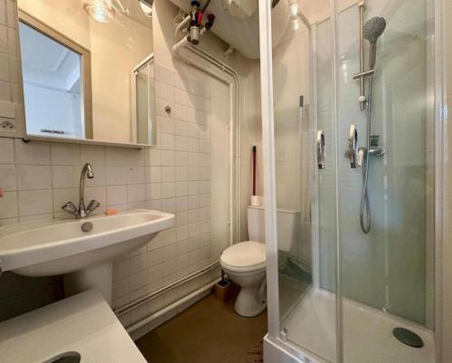 une salle de bain avec une douche, un lavabo et des toilettes dans l'établissement Velhac domus - maison du velay, au Puy-en-Velay