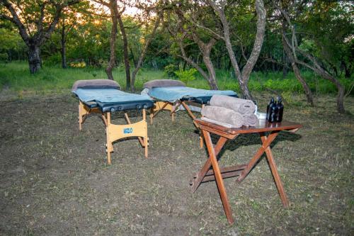 Κήπος έξω από το Thornhill Safari Lodge