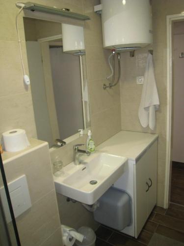 a bathroom with a sink and a mirror at APP Tilia in Crikvenica