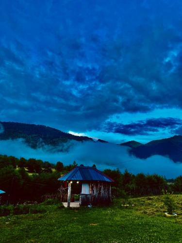 a small hut in a field with a view of a mountain at Qvis Sakhli in Tvebishi