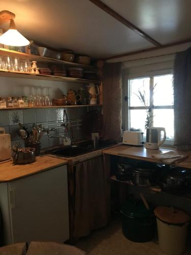 Cuisine ou kitchenette dans l'établissement Das wilde Auwaldhaus