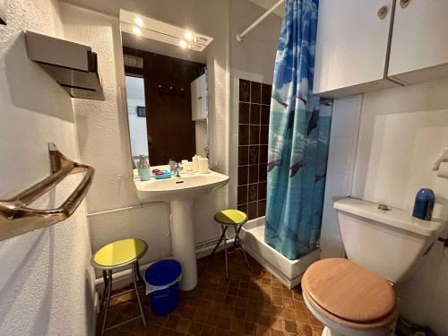une salle de bain avec toilettes, lavabo et douche dans l'établissement Appartement cosy avec loggia, proche plage & centre, 4 couchages à Saint-Cyprien - FR-1-225D-201, à Saint-Cyprien