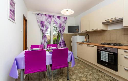 Η κουζίνα ή μικρή κουζίνα στο Beautiful Apartment In Pinezici