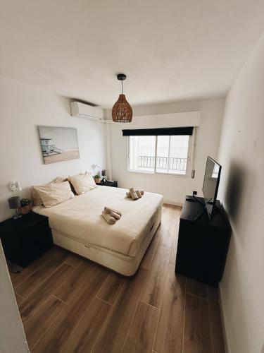 Cozy Apartment (La Orquídea)