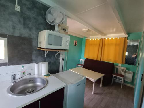 une petite cuisine avec un évier et un micro-ondes dans l'établissement Mas des chênes, à Joyeuse