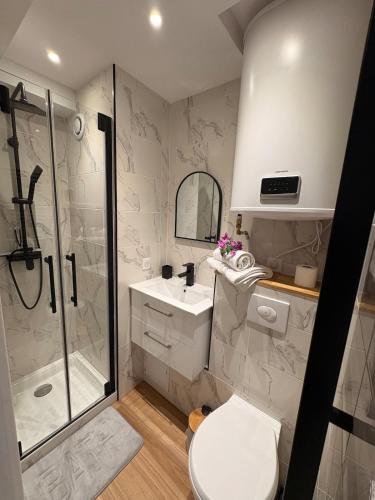 une salle de bain avec une douche, des toilettes et un lavabo dans l'établissement Magnifique Studio Piscine, à Sainte-Maxime