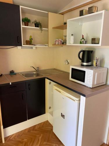une petite cuisine avec un micro-ondes et un évier dans l'établissement Cabanon Grenouille - Le Pal, à Saint-Martin-des-Lais