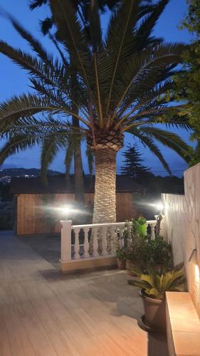Villa Los Pinos 8F