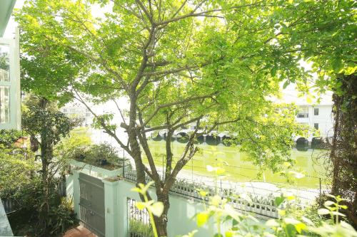 a tree in the middle of a yard with a building at The Mira Villa West Lake by XÔI Residences in Hanoi