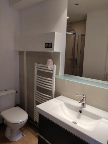 une salle de bain avec un lavabo, des toilettes et un miroir dans l'établissement Centre Historique de Caen, à Caen