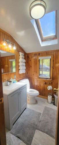 a bathroom with a toilet and a sink and a mirror at Susquehanna Waterfall Haven in Susquehanna