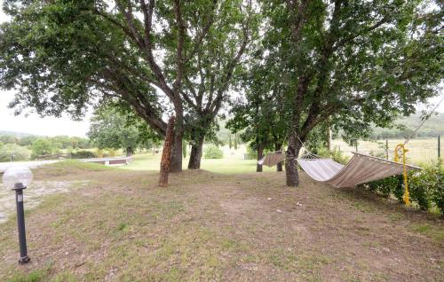 a hammock hanging from two trees in a park at Amazing Home In Monterotondo Marittimo in Monterotondo