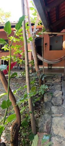 Gallery image of Recanto das Frutas in Cavalcante