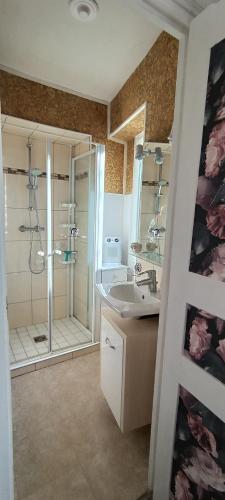 une salle de bain avec douche et lavabo dans l'établissement Madeleine, à Sancerre