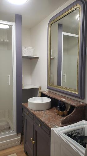 une salle de bain avec un lavabo et un miroir sur un comptoir dans l'établissement Le Nid Daudèce, à Le Châtelet-sur-Sormonne