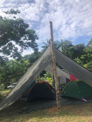 a tent and two umbrellas in a field at CATEDRAL THE ROCK CAMPING in Presidente Figueiredo