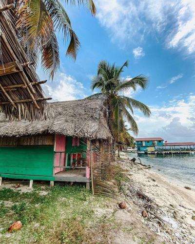 a shack on a beach with a palm tree at Romantic Cabin on Diablo Island San Blas in Panama City