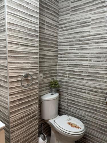 a bathroom with a toilet with a plant on it at Casa Estrella Fuerteventura in Costa de Antigua