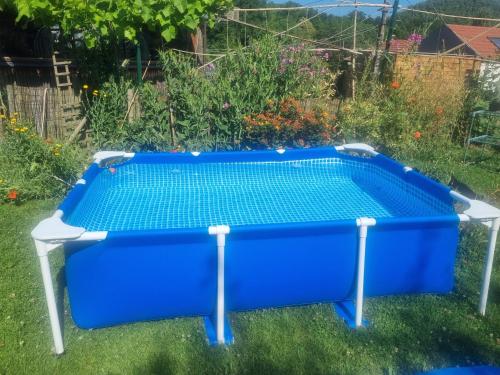 Piscina en o cerca de Gee is Sharing her home