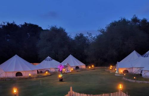 a group of white tents in a field at night at Bell Tent Village Parks in Nottingham