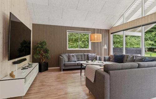 Μια τηλεόραση ή/και κέντρο ψυχαγωγίας στο Amazing Home In Glesborg With Sauna
