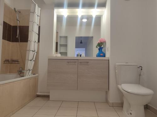 une salle de bain avec toilettes, lavabo et miroir dans l'établissement 休闲之旅, à Aulnay-sous-Bois