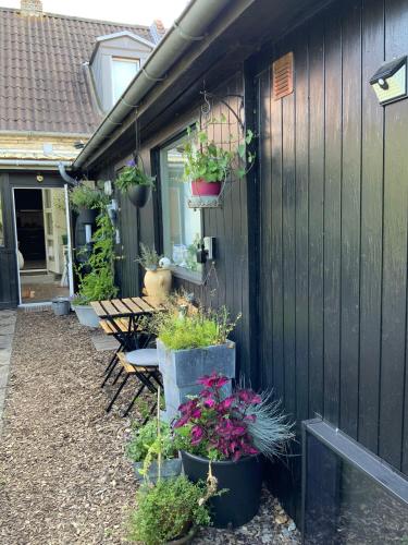 a row of benches with potted plants on the side of a house at Spiced Bed&Breakfast in Nykøbing Falster