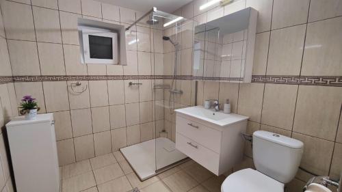 a bathroom with a toilet and a sink and a shower at Lovely Apartment With Courtyard in Mangalia