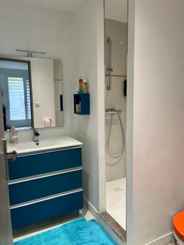 une salle de bain avec un lavabo et une douche dans l'établissement Au Son du Clocher, à Malleval