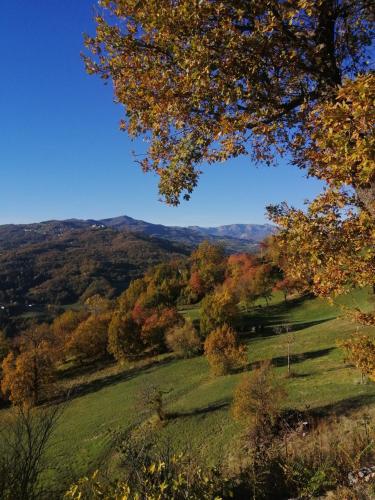 a view from the top of a hill with trees at That's amore - l'incanto della valle 