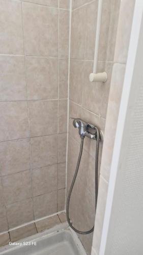 une douche avec pommeau de douche dans une salle de bain dans l'établissement Suite Cosy Gare&TNB à 200 m - 3 personnes - Rennes, à Rennes