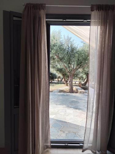 Gambar di galeri bagi Melia Sifnos Superior di Platis Yialos Sifnos