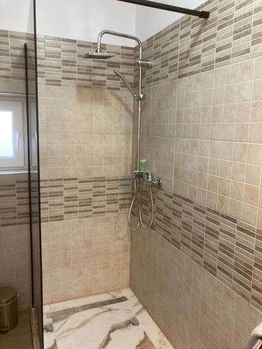 a shower with a glass door in a bathroom at Sara Apartament in Lugoj