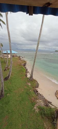 a view of the ocean from a beach with palm trees at Rooms on San Blas Islands Icodub in Panama City