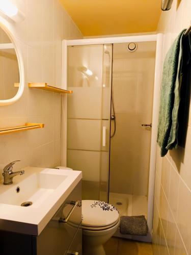 une salle de bain avec une douche, des toilettes et un lavabo dans l'établissement La Pinède - Détente & Entrée autonome, à Digne-Les-Bains