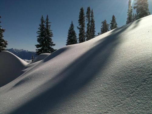 a mound of snow with trees in the background at The Hostel in Teton Village