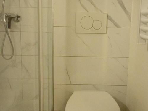 a white bathroom with a shower and a toilet at Le studio 1900 - Centre-ville in Albertville
