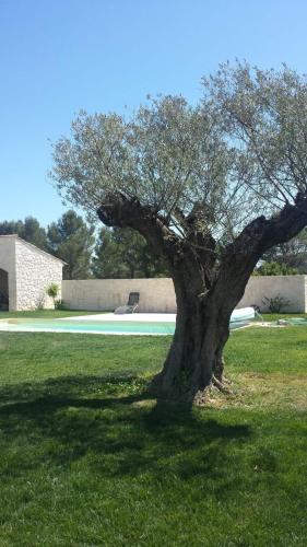Photo de la galerie de l'établissement Beautiful Provencal farmhouse and pool, à Bagnols-en-Forêt