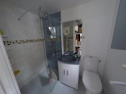 une salle de bain avec une douche, des toilettes et un lavabo dans l'établissement Bienvenue aux Bateliers, à Saint-Valery-sur-Somme