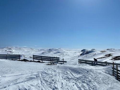 Luxury Log Cabin By Hardangervidda v zimě