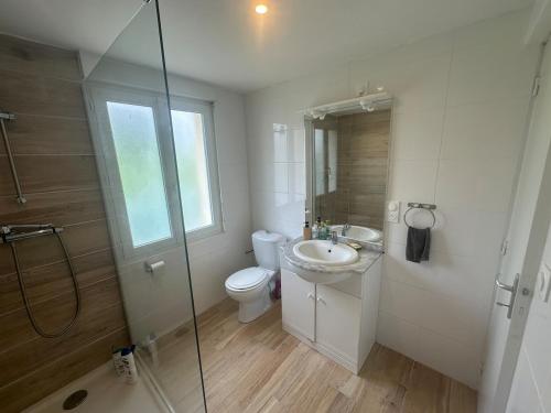 une salle de bain avec toilettes, lavabo et douche dans l'établissement Maison de vacances Crozon 2ch - jardin clos, à Crozon