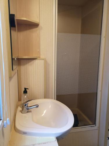 une salle de bain avec un lavabo et une douche dans l'établissement Mobil-home + jardin au Camping du lac, à Égletons