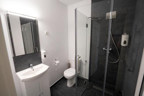 a bathroom with a toilet sink and a shower at Hotel Malvina in Sînnicolau Mare