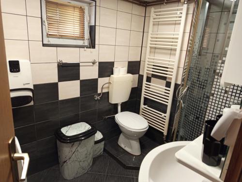 a bathroom with a toilet and a shower and a sink at Apartman Emma in Visoko
