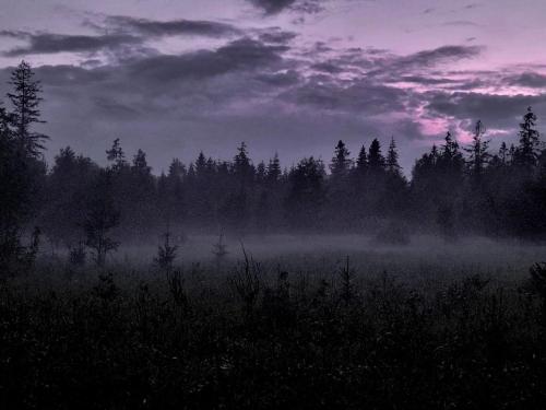 Gallery image of Perzeid in Štôla