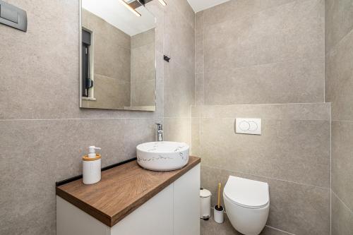 a bathroom with a sink and a toilet at Kuća za odmor TARA & LANA II in Kornić